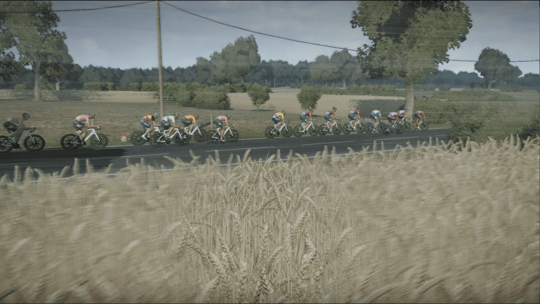 Tour de France 2024 (Standard Edition) – Xbox - תמונה 2 | SeKeys