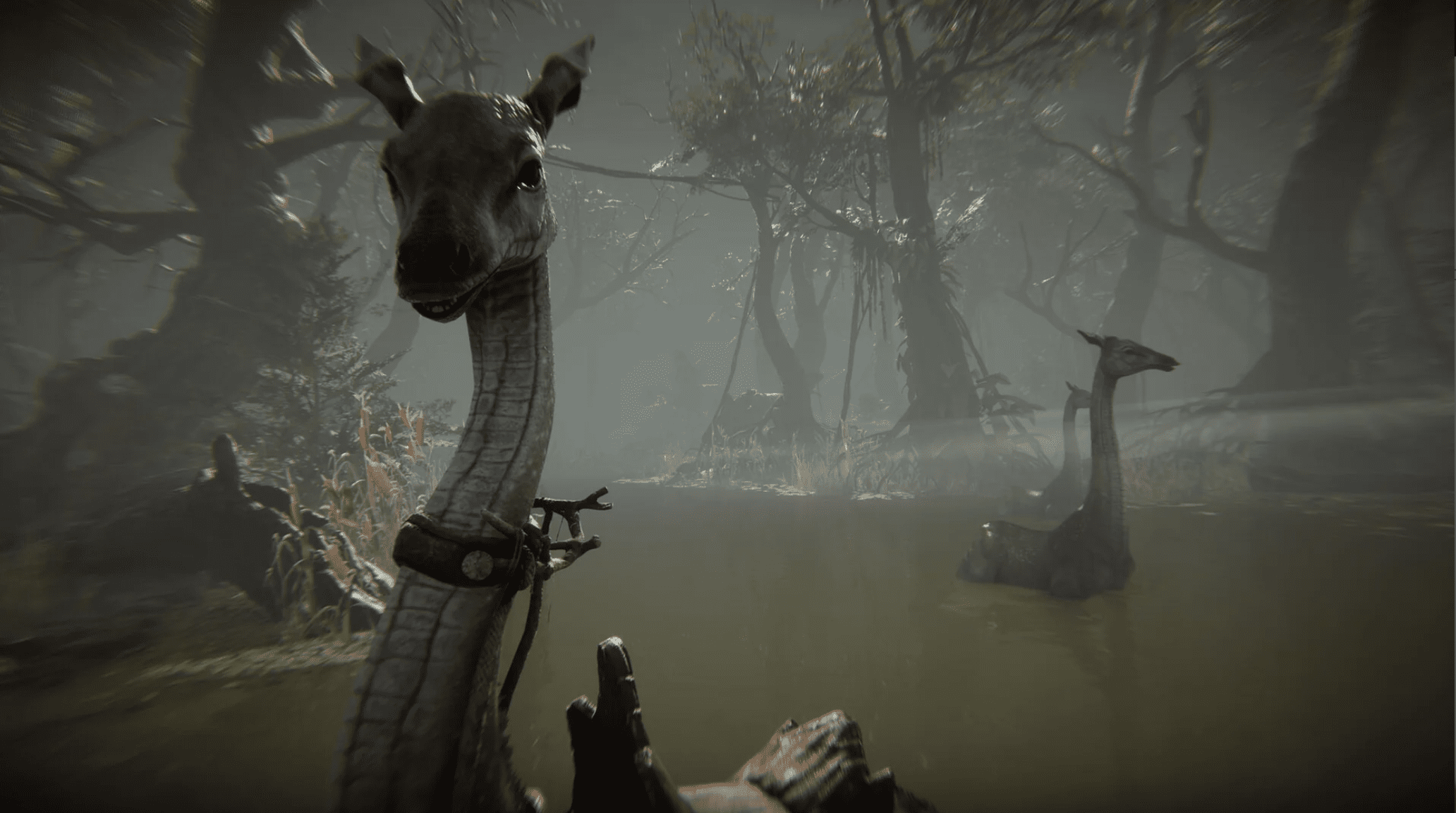 Amerzone – The Explorer’s Legacy (Standard Edition) – Xbox - תמונה 1 | SeKeys