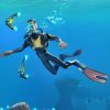 Subnautica – למחשב - SeKeys