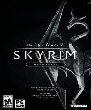 מפתח The Elder Scrolls V: Skyrim (Special Edition) למחשב - SeKeys