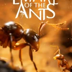 Empire of Ants (Standard Edition) – Xbox - SeKeys