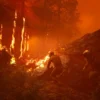 ICARUS – Xbox - תמונה 1 | SeKeys
