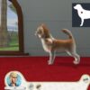 Paws and Claws: Pampered Pets - למחשב