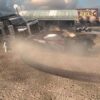 FlatOut: Ultimate Carnage - למחשב
