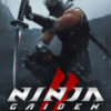 NINJA GAIDEN 2 Black - למחשב (Steam)