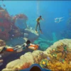 Subnautica 2 (Game Preview) - למחשב ולאקסבוקס