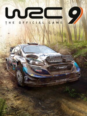 WRC 9 FIA World Rally Championship PlayStation